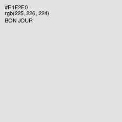 #E1E2E0 - Bon Jour Color Image